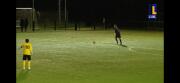 Thumbnail of 291
