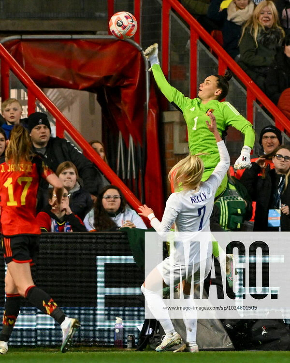 Main image of 302