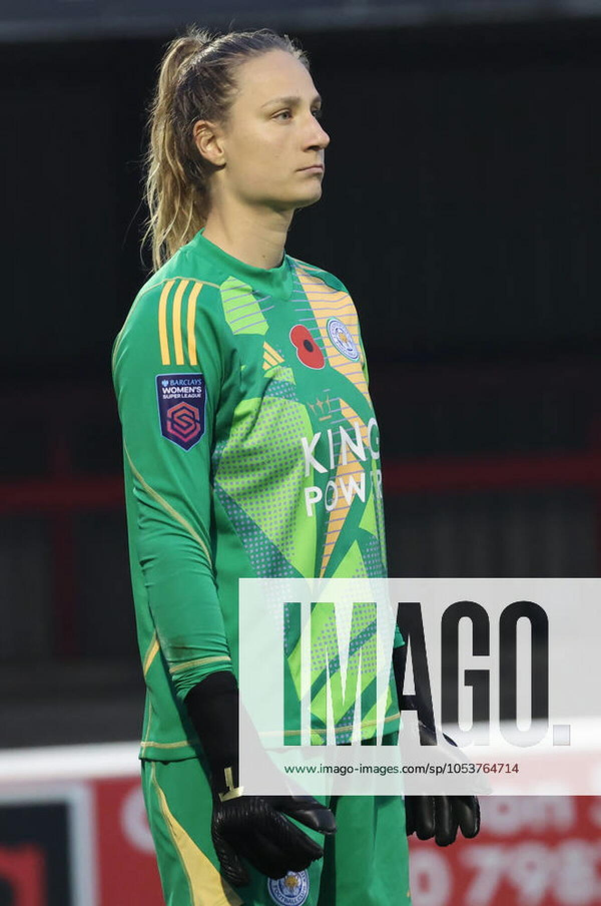 Main image of 304