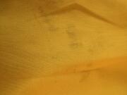 Thumbnail of 312