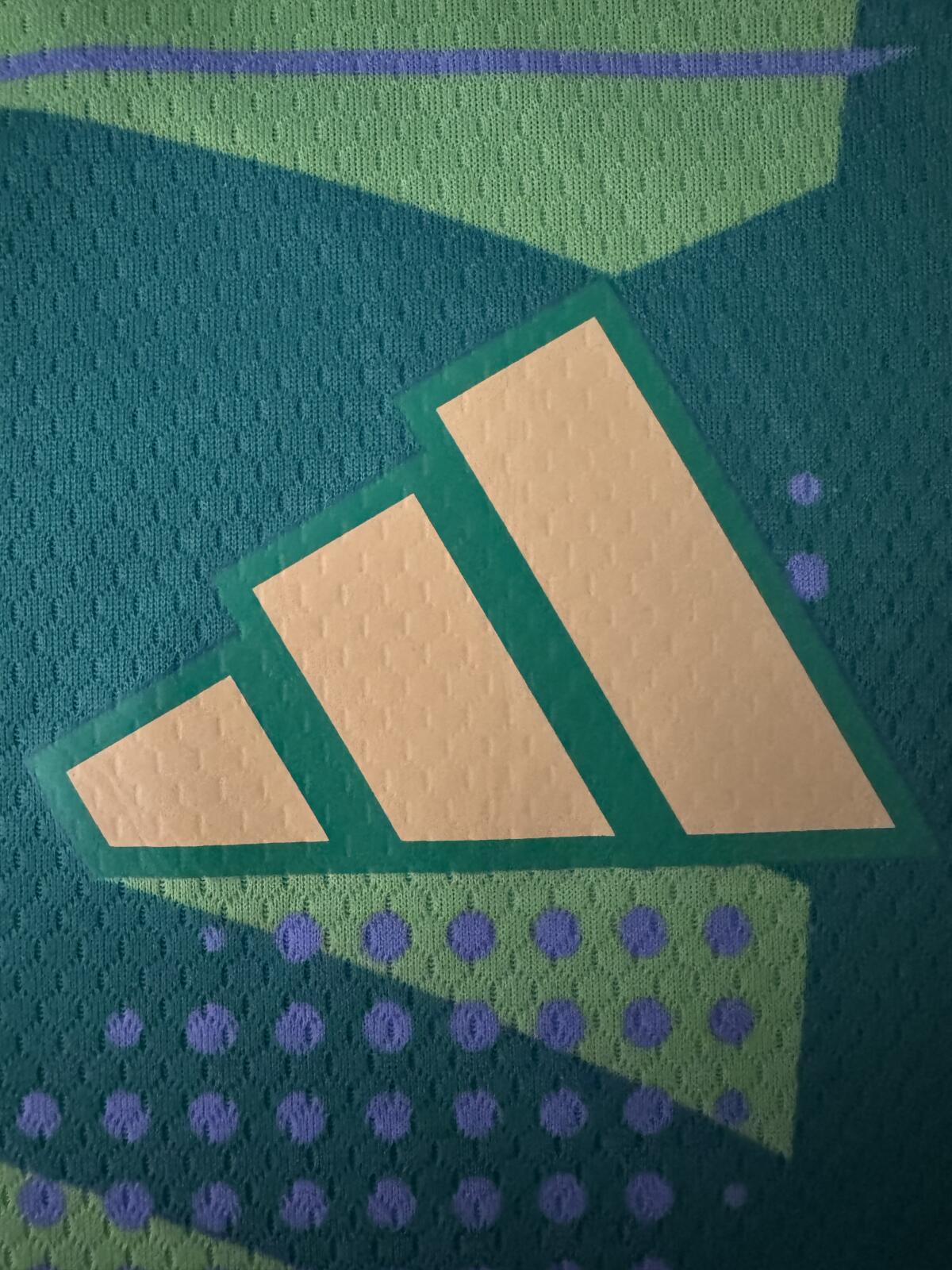 Main image of 319