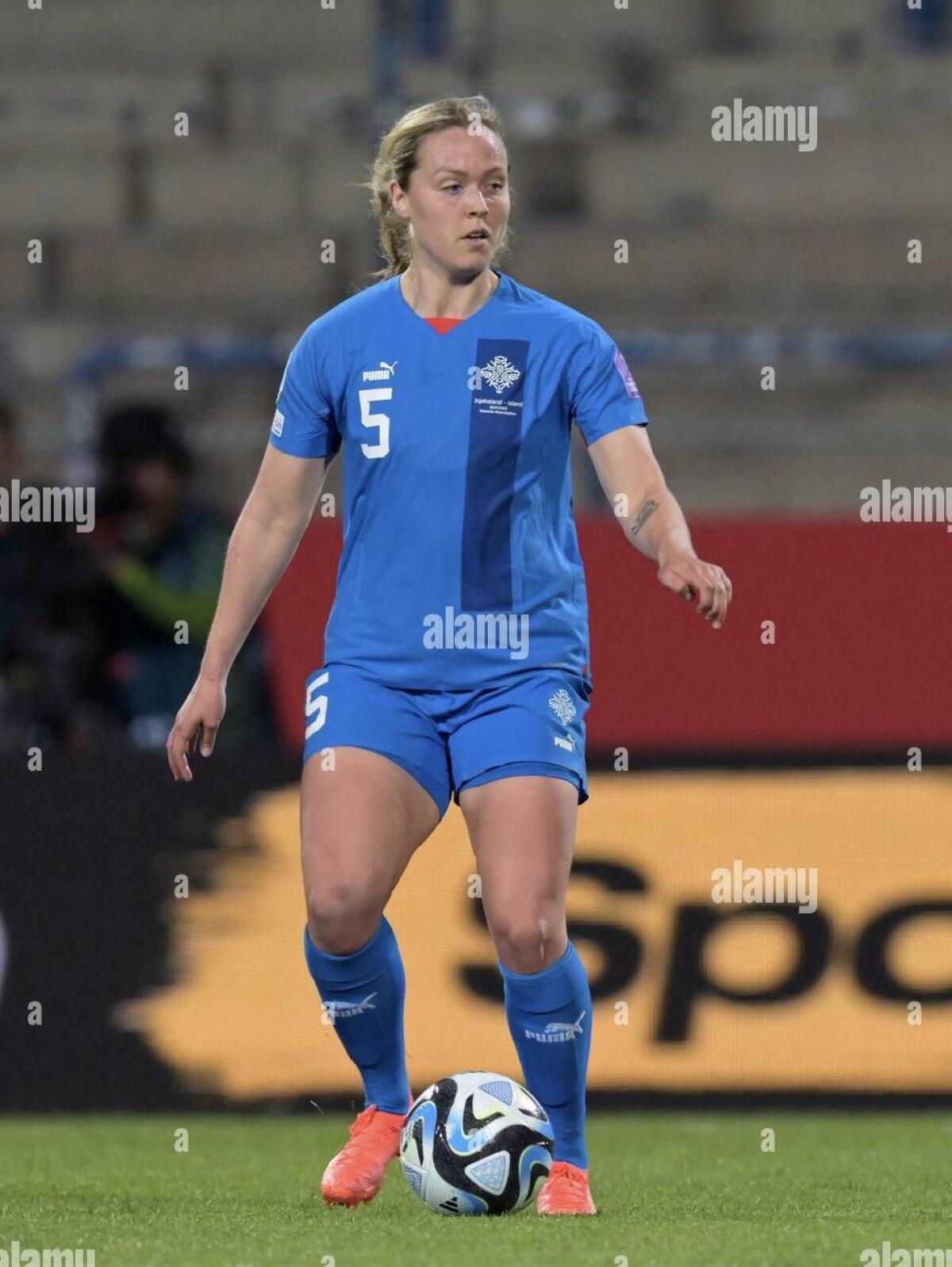 Main image of 359