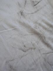 Thumbnail of 368